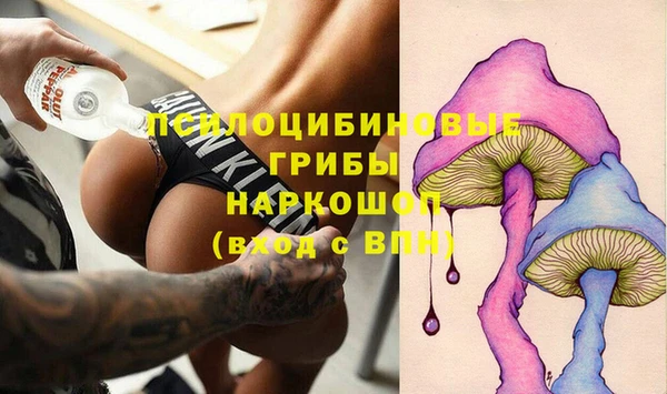 винт Верея