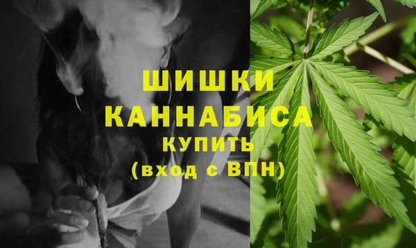 винт Верея