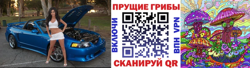 Псилоцибиновые грибы Psilocybine cubensis  omg онион  Тверь 