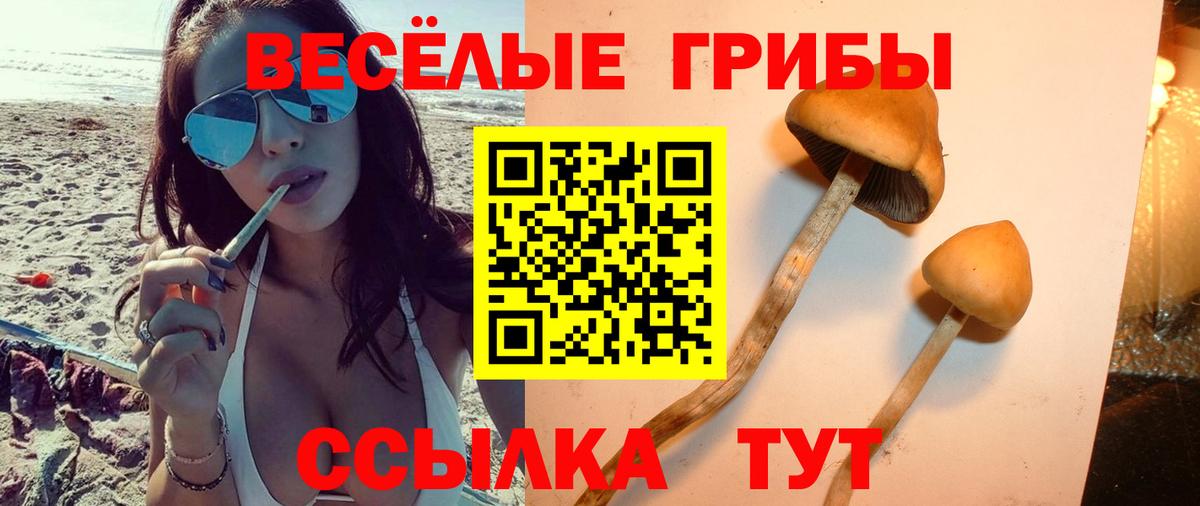 Псилоцибиновые грибы мухоморы  Вход с VPN  Тверь 