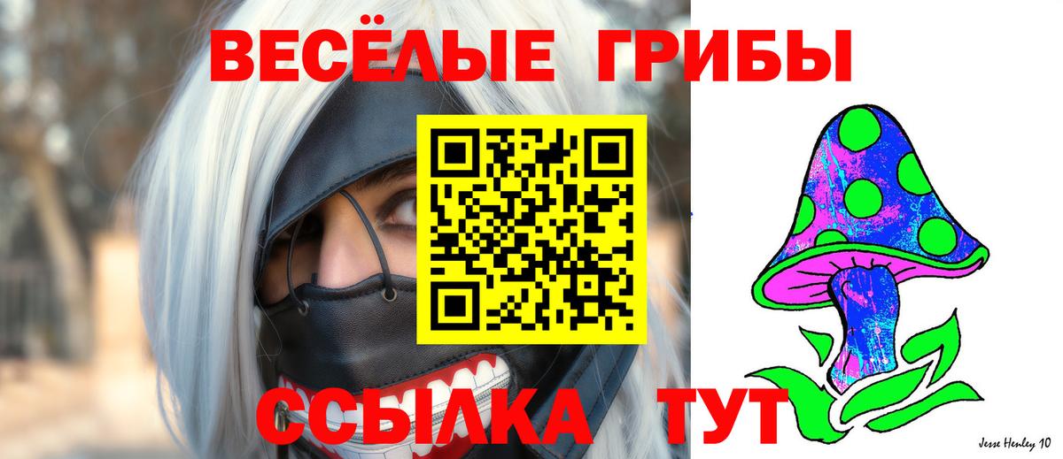 Псилоцибиновые грибы Psilocybine cubensis  Вход с VPN  закладки  Тверь 