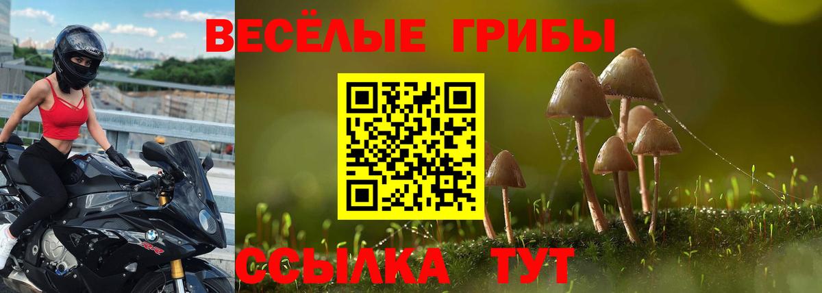 Галлюциногенные грибы MAGIC MUSHROOMS Тверь